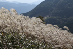 曽爾高原　亀山