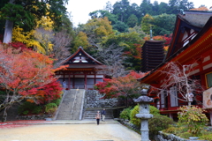 秋づく談山神社