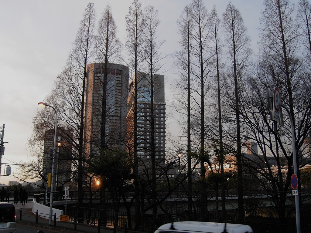 桜ノ宮　早朝