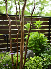 雨の休日