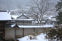 雪の室生寺　続き