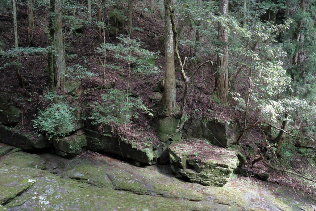 赤目　岩の渓谷