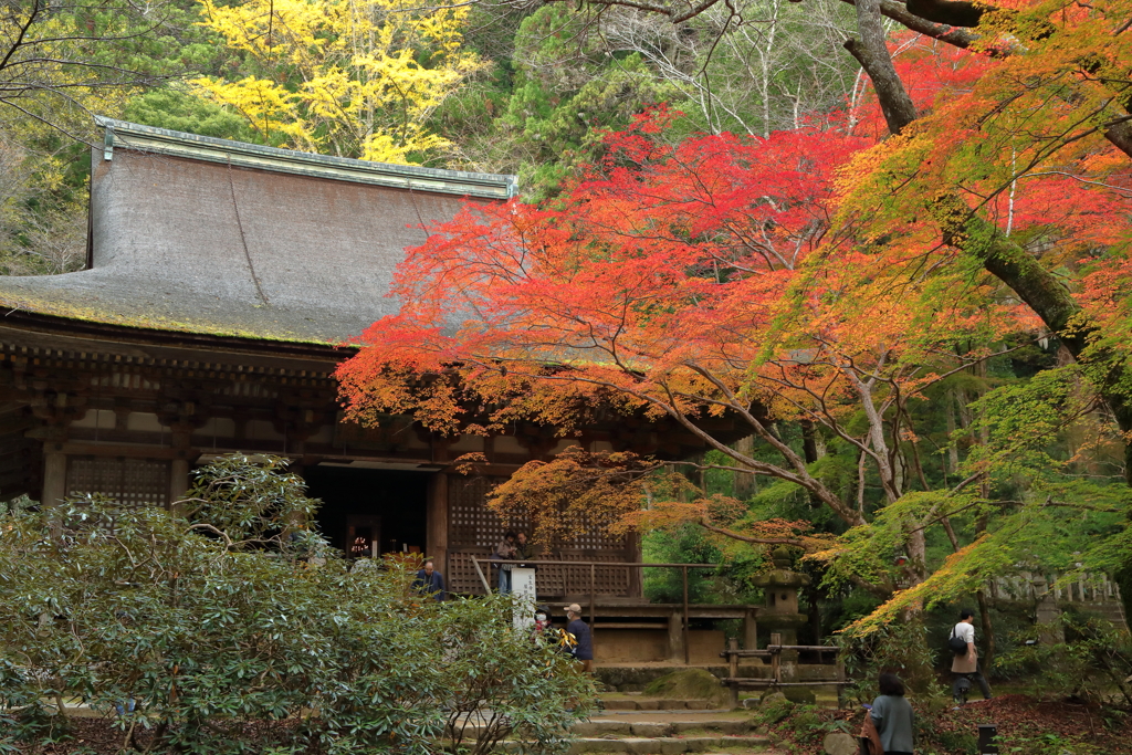 室生寺の秋