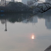 寒い朝。