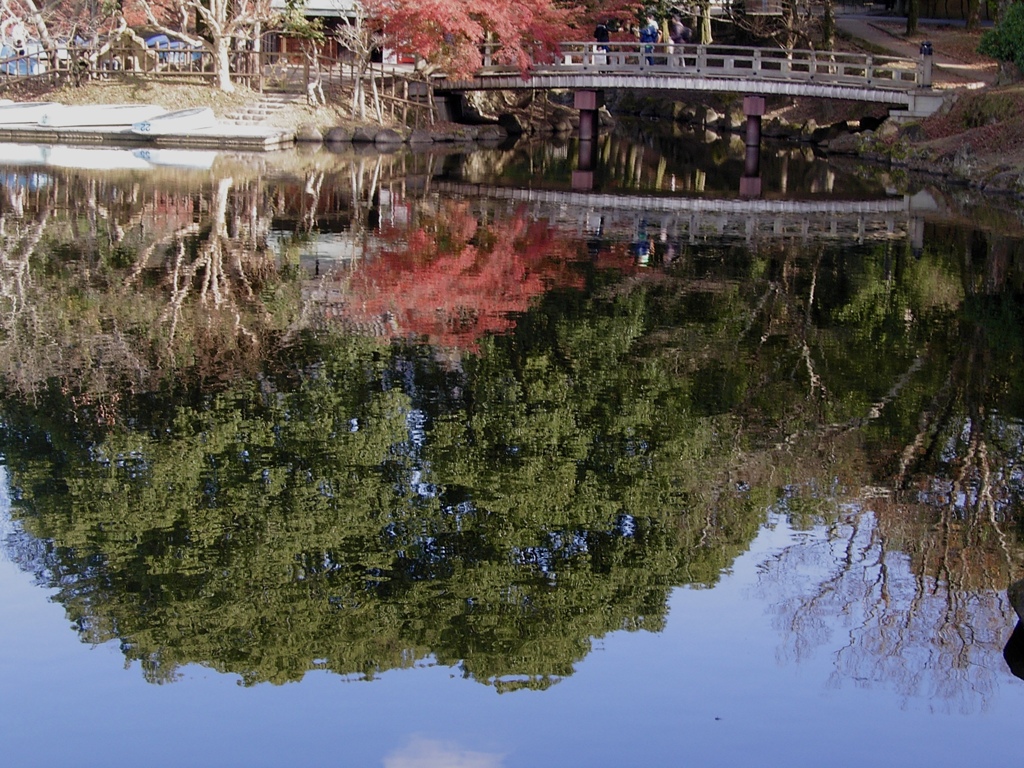 奈良公園　浮見堂