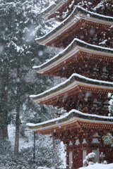 室生寺モノクローム