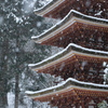 室生寺モノクローム