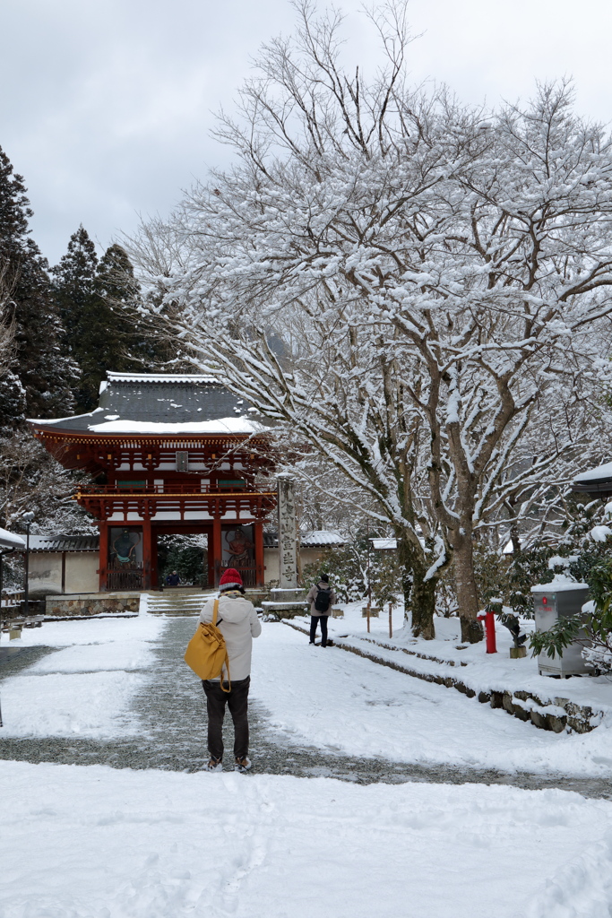 室生寺モノクローム