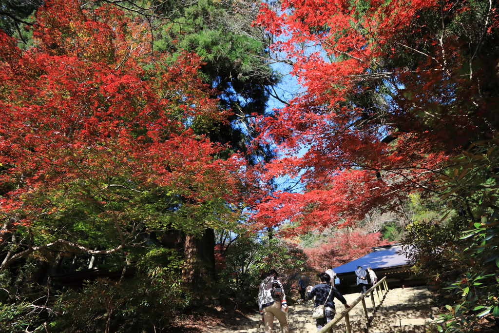 秋深し　室生寺