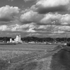 冬の田圃