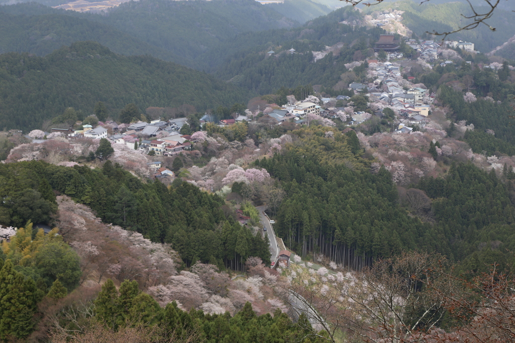 吉野山　花矢倉付近より