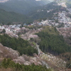 吉野山　花矢倉付近より