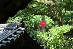 赤い
