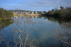 師走のブラ散歩