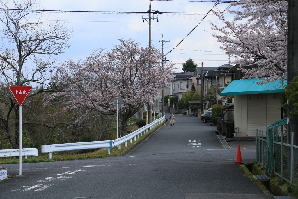 ちょっと散歩