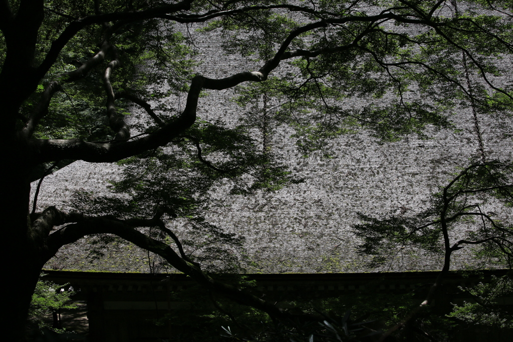 室生寺　本堂