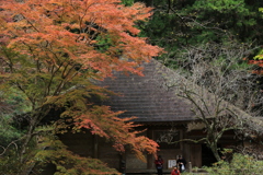 錦色の室生寺