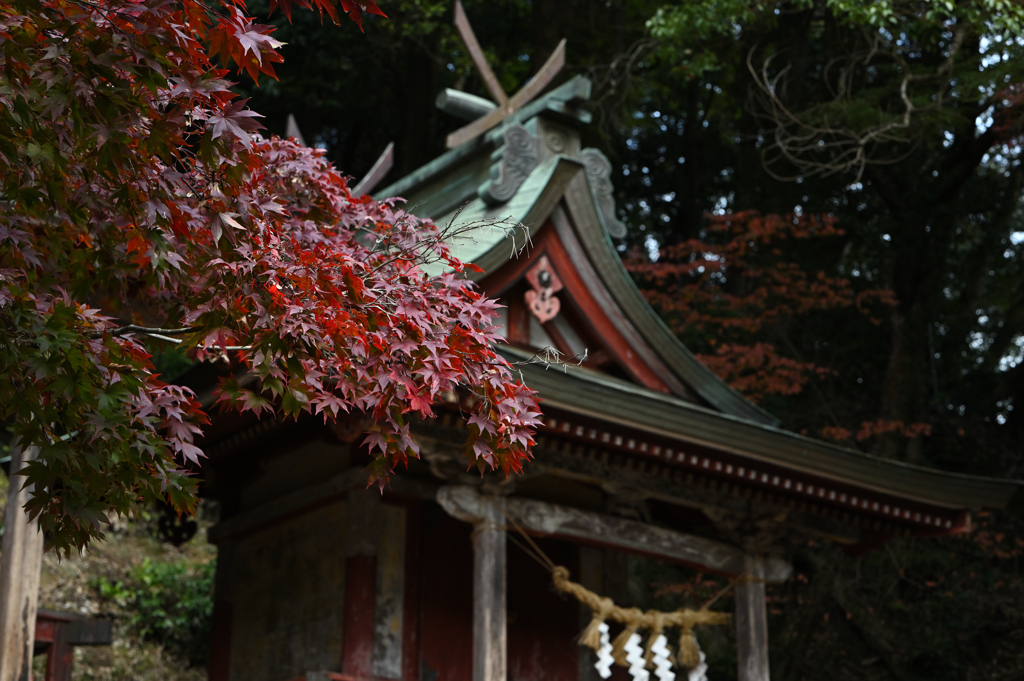 長谷寺　秋景色