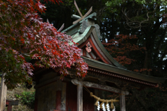 長谷寺　秋景色