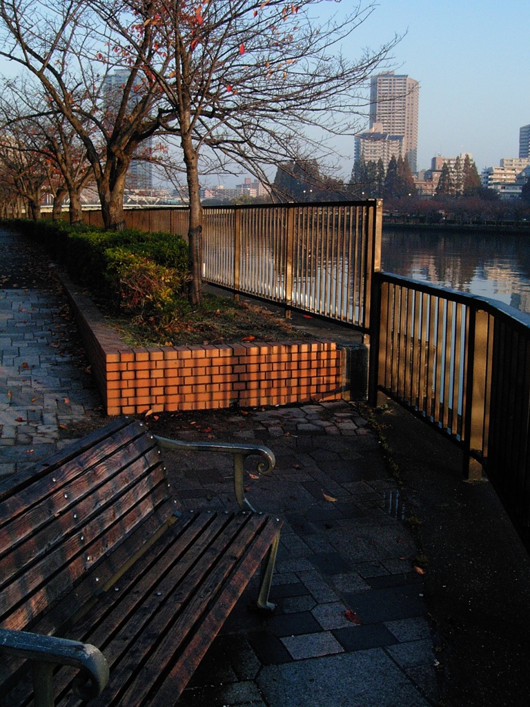 天満　大川の朝