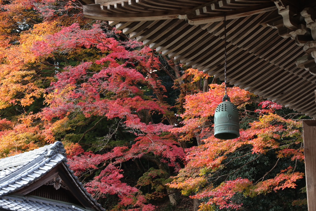 秋深まる室生寺