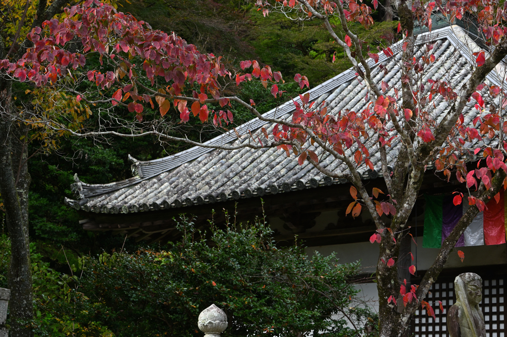 長谷寺　秋景色