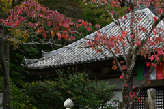 長谷寺　秋景色