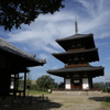 斑鳩の里　法起寺