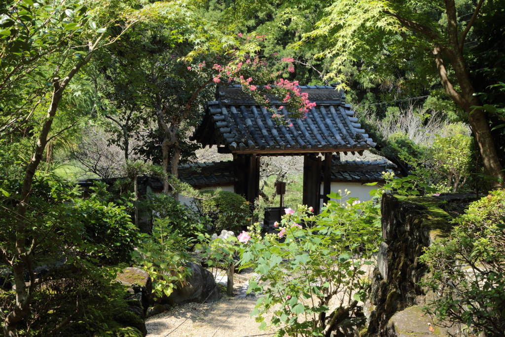 山の辺の道　秋早