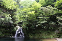 赤目滝 in summer