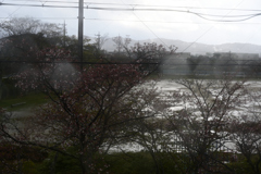雨のち晴れ
