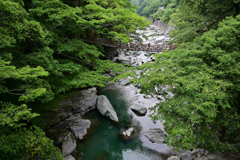 祖谷のかずら橋