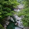 祖谷のかずら橋