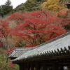 錦秋・長谷寺