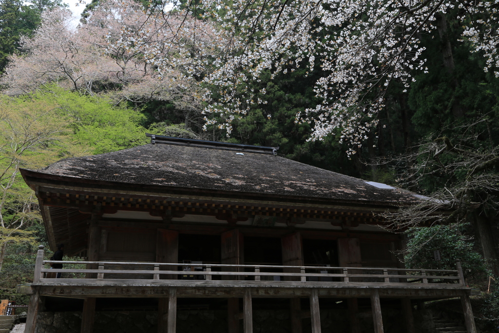 室生寺　幽邃