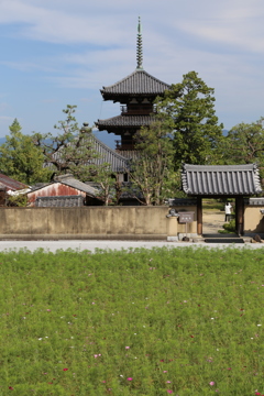 斑鳩の里　法起寺