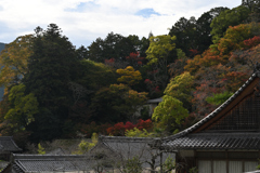 長谷寺　秋景色