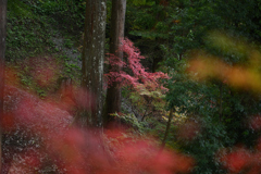 長谷寺　秋景色