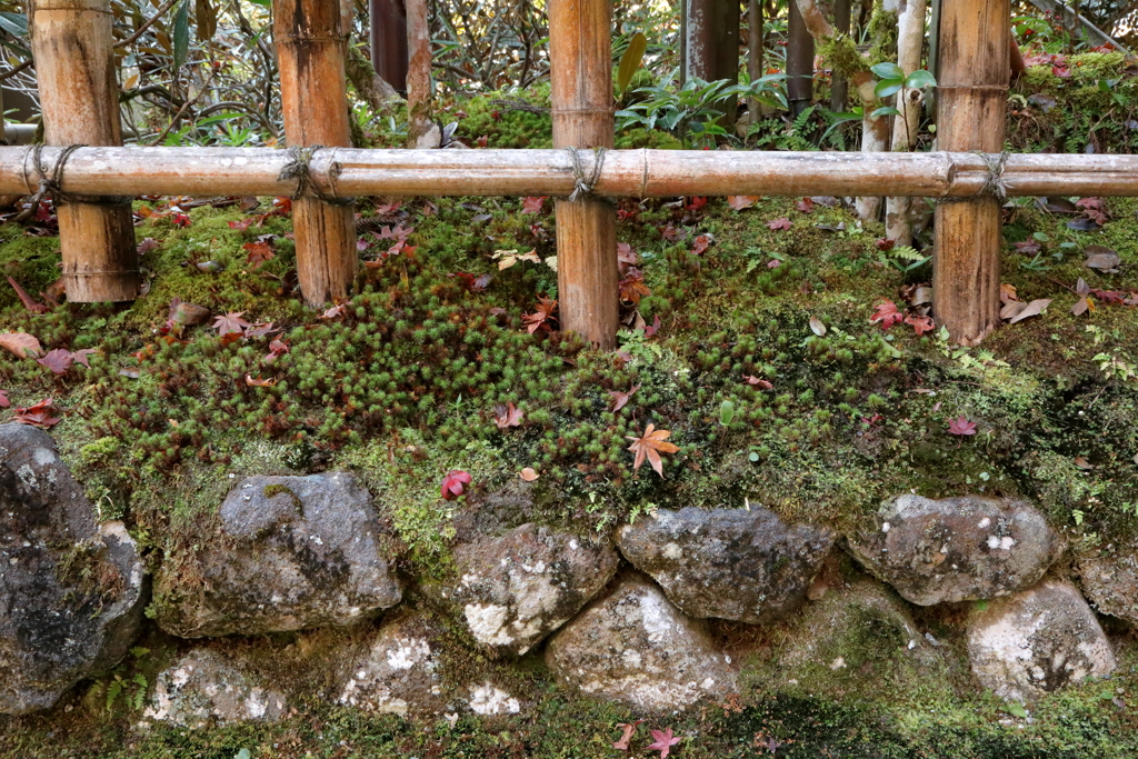 秋に染まる室生寺