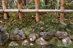 秋に染まる室生寺