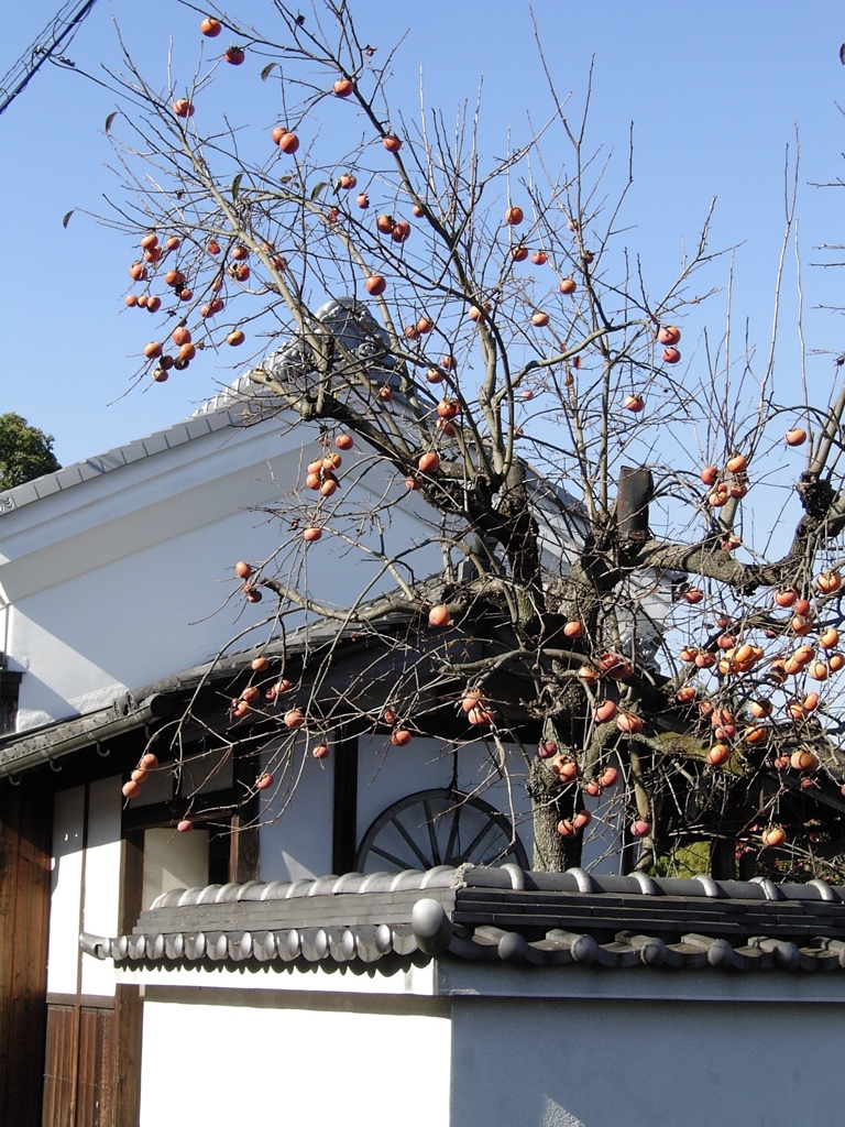 奈良　西の京の街並み