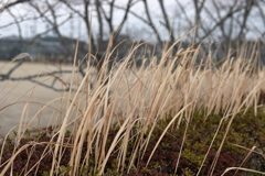 寒い一日