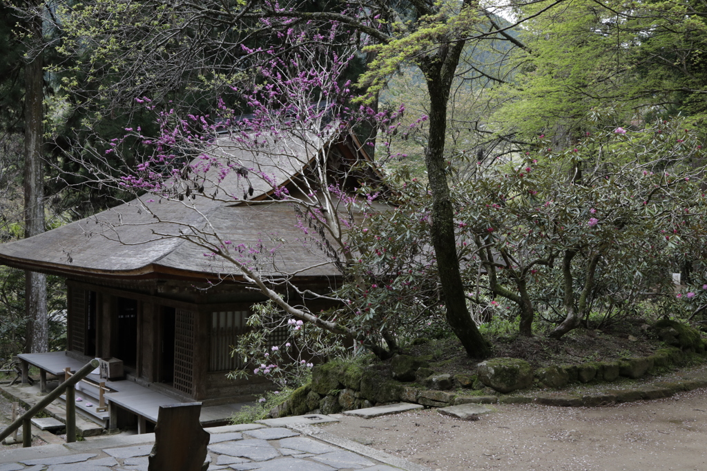 石楠花の寺