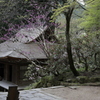 石楠花の寺