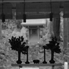 室生寺　幽邃
