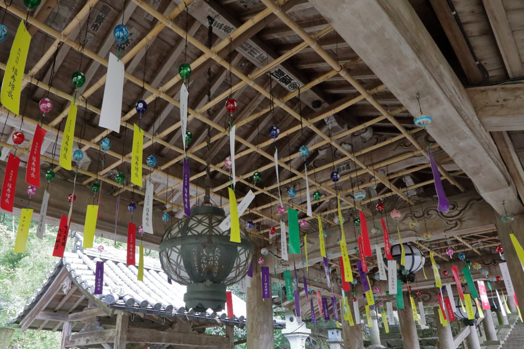 夏の長谷寺