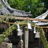 夏越しの祓え