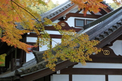 錦秋の山寺