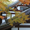 錦秋の山寺