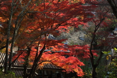 錦の山寺